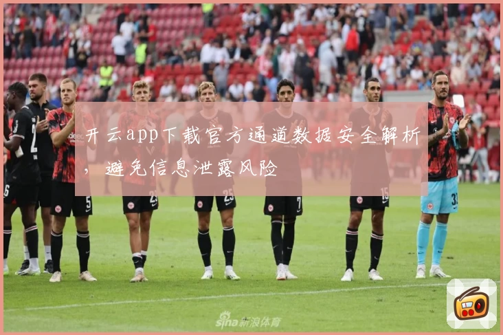 开云app下载官方通道数据安全解析，避免信息泄露风险